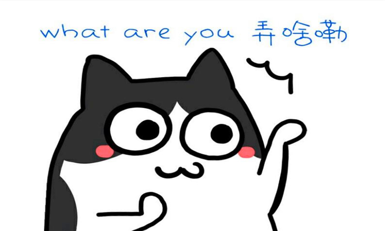 什么是公网ip和私网ip