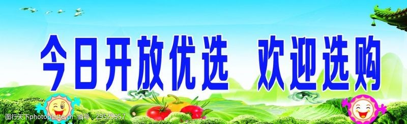 选购及了解