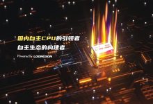 全面解析龙芯服务器CPU的价格及其因素 (龙芯)-虎跃云资讯网