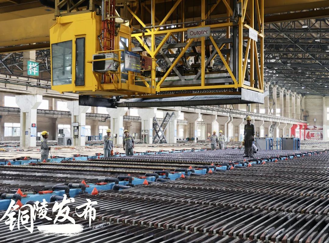 最新铜陵电梯服务器市场行情与报价概览