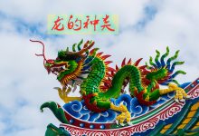 龙岛在线游戏服务器数量统计 (龙岛在哪)-虎跃云资讯网