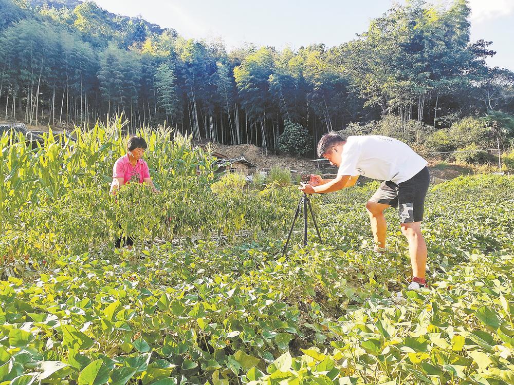 视频服务器租赁费用详解