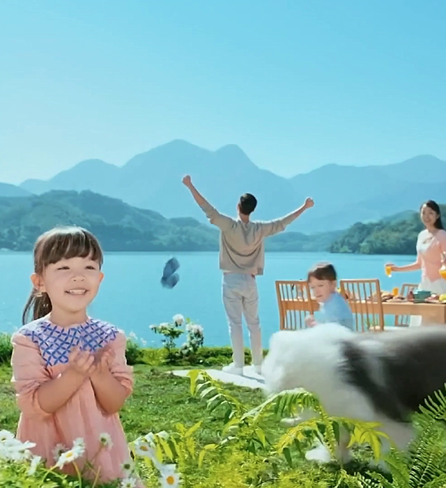 不同供应商的特点