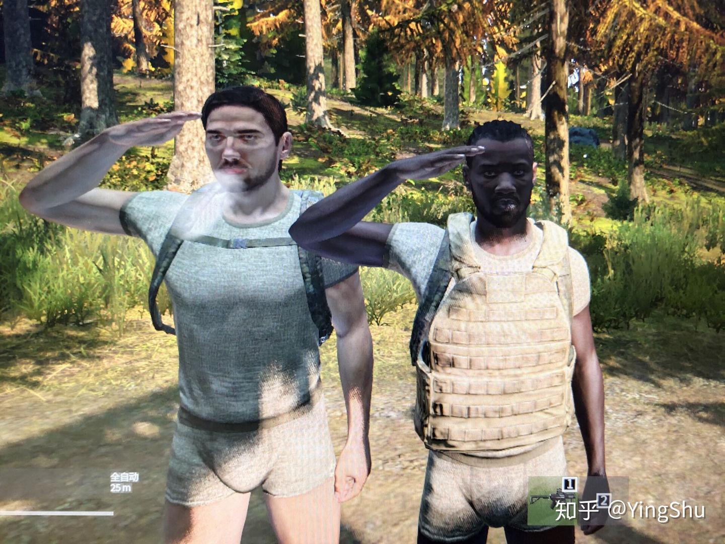 揭秘DayZ服务器的核心数量