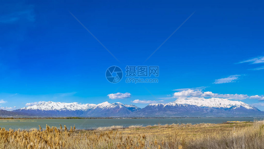 全方位了解山姆