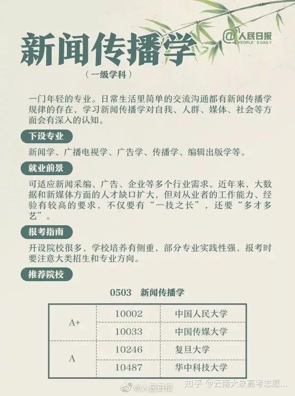 专业