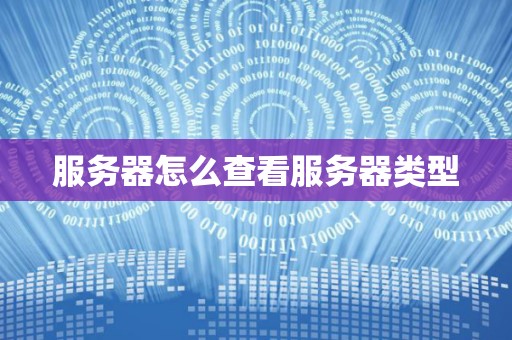 不同服务器类型与规模的收益差异