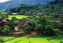 探寻云南普洱的DNS服务器地址及设置指南 (探寻云南普洱的感受)-虎跃云资讯网