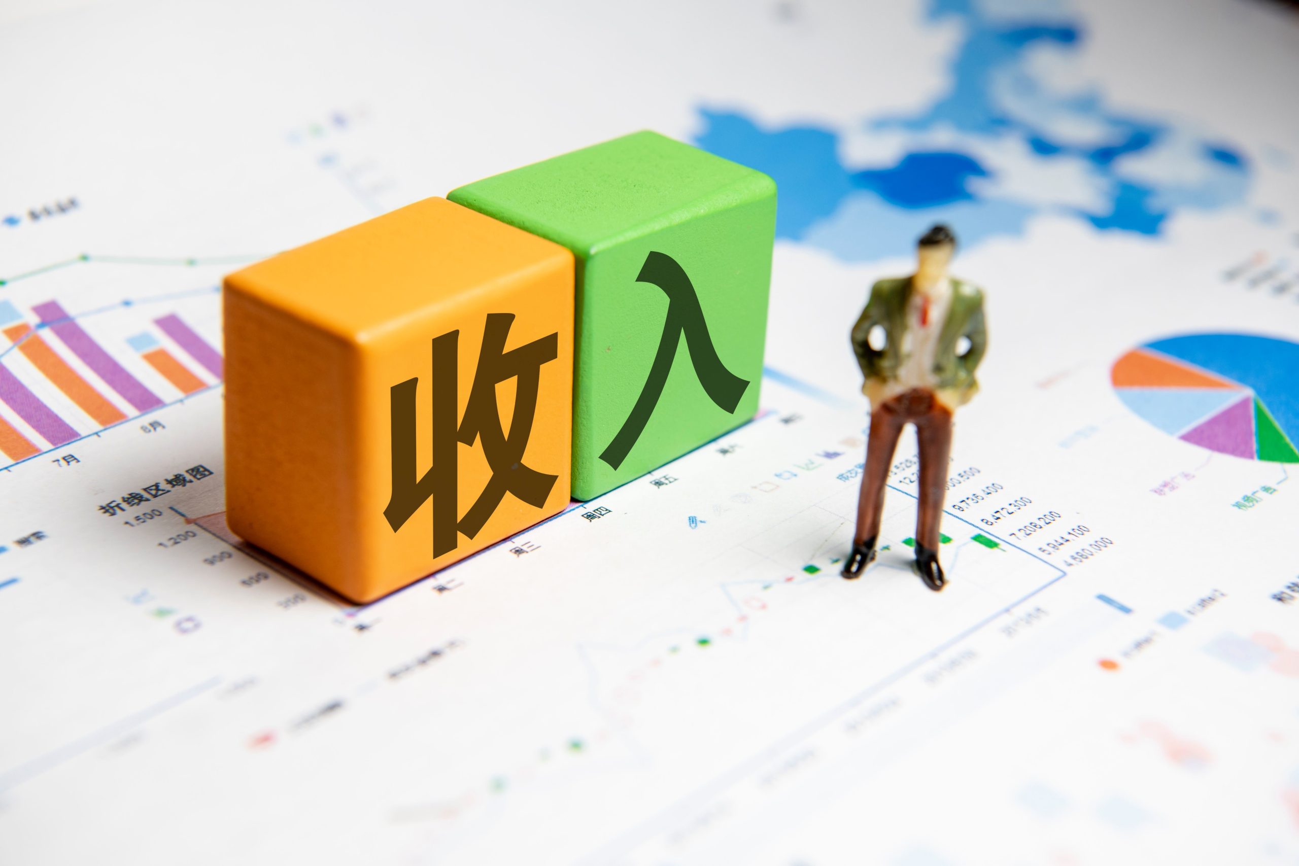 收入来源与影响因素分析