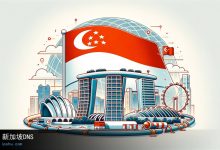 新加坡服务器性价比分析 (新加坡服务器地址)-虎跃云资讯网