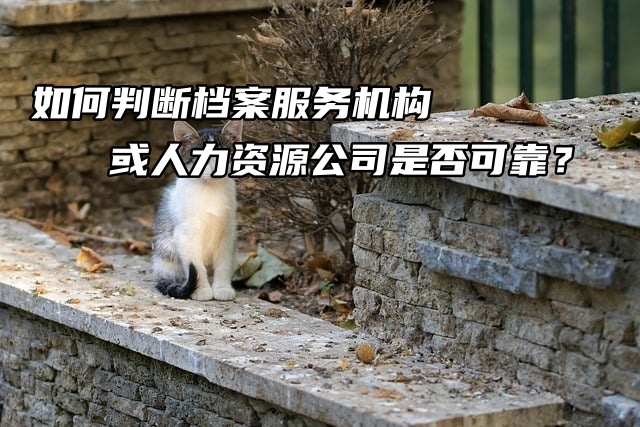 如何判断服务器网卡是否正常