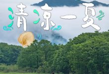 夏天专属服务器IP列表 (专属夏天的活动)-虎跃云资讯网