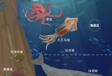 深度解析大型企业需要多少台服务器支撑业务运营 (深度解析大型机器人)-虎跃云资讯网