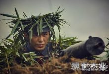 小哥剖析腾讯服务器流量的现状和未来需求 (小哥剖析腾讯会议)-虎跃云资讯网