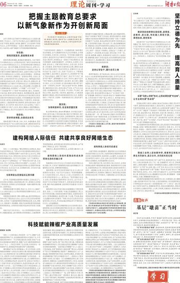 探讨不同网络环境对服务器IP分配策略的影响