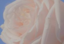 你究竟需要花费多少？ (你究竟需要花什么钱)-虎跃云资讯网