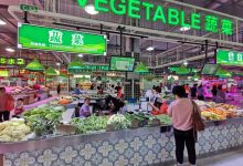 市场行情与品牌影响 (甯傚満琛屾儏涓庡搧鐗岃�屾儏)-虎跃云资讯网