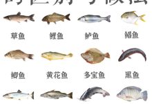 常见问题解答:如何应对虚拟服务器IP填写难题 (天然气常见问题解答)-虎跃云资讯网