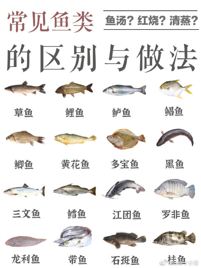常见问题解答