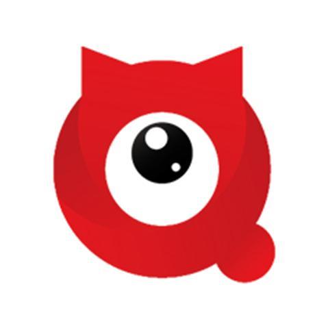 一探究竟