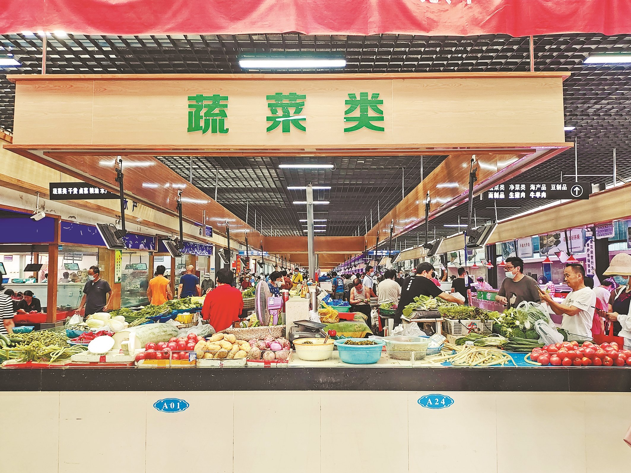 市场行情及收益分析
