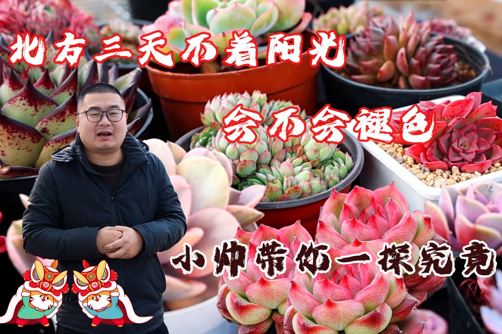 一探究竟