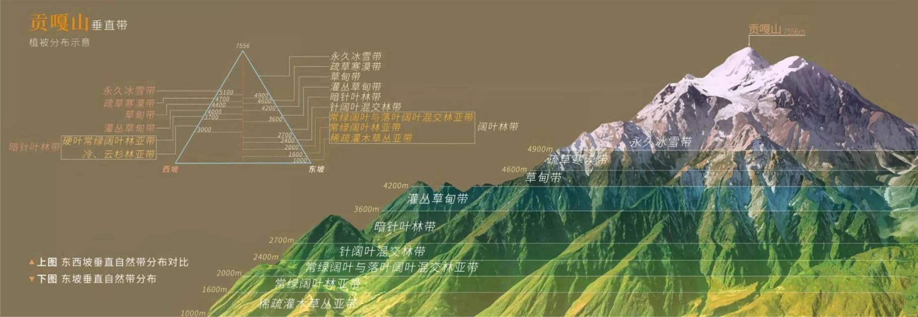 全方位解析山西高速服务器电话号码及查询指南