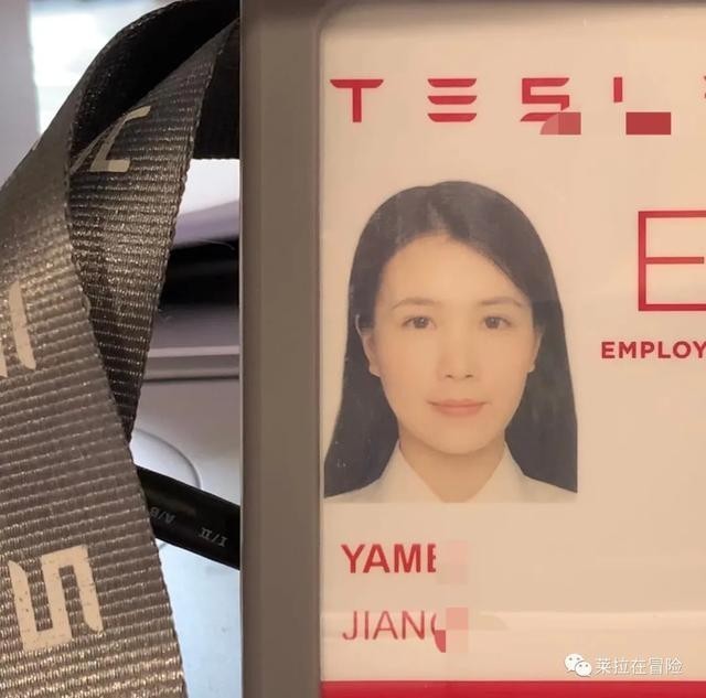 揭秘特斯拉在线观看