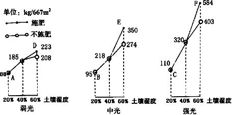 不同因素决定于什么