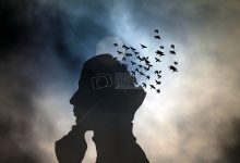 受哪些因素影响？ (受哪些因素影响)-虎跃云资讯网