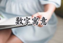 神秘数字组合的背后隐藏着怎样的安全防线？ (神秘数字组合由来)-虎跃云资讯网