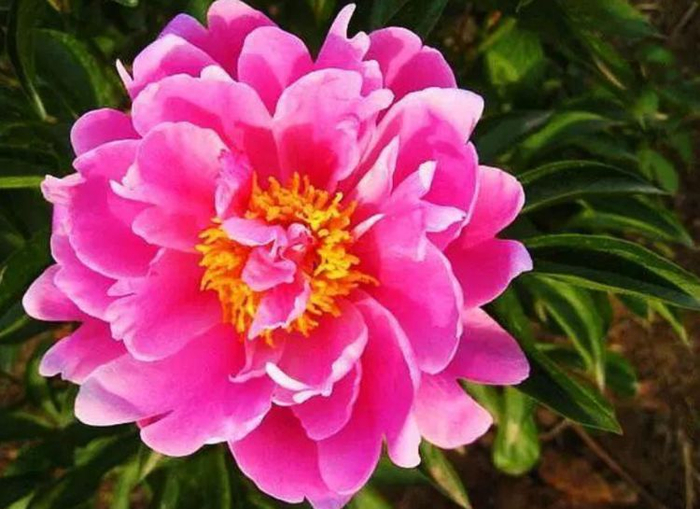 究竟要花多少钱来升级苹果服务器