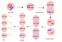 精准掌握服务器修复花费标准 (精准掌握服务的意义)-虎跃云资讯网
