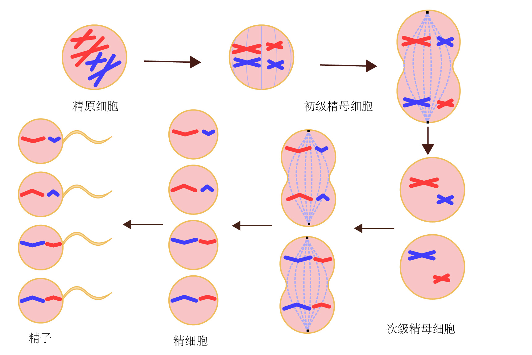 精准掌握服务器修复花费标准