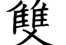 双十一购物狂欢背后的服务器规模与数量揭秘 (双十一购物狂欢节)-虎跃云资讯网