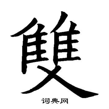 双十一购物狂欢节