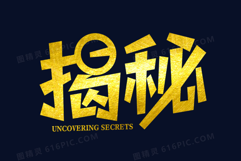 揭秘数字背后的技术精英群体