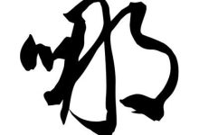 哪种服务器网速最快？网速极限究竟是多少？ (哪种服务器网络最好)-虎跃云资讯网