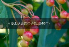 你必须要清楚每个服务器的唯一代码 (你必须要清楚英语)-虎跃云资讯网
