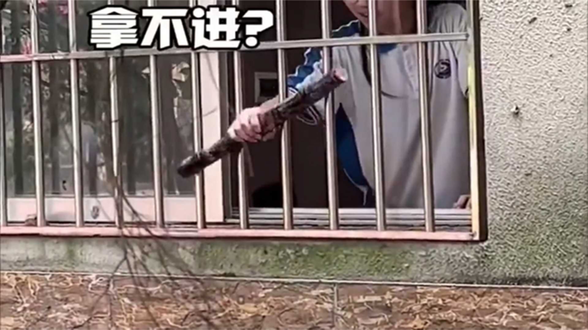 究竟有多少绝望的句子
