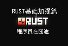 揭秘Rust服务器的IP地址 (揭秘国内心脏支架手术背后的真相)-虎跃云资讯网