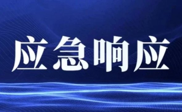 最新浙江高密度服务器价格走势分析