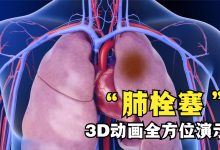 全方位解读AMD服务器性能与核数关系 (全方位解读河北衡水枣强中学怎么样)-虎跃云资讯网