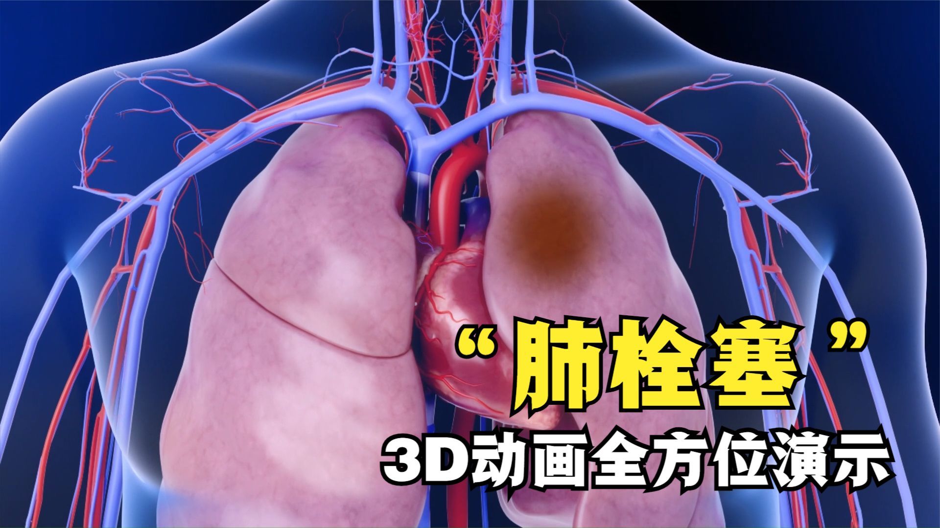 全方位解读AMD服务器性能与核数关系