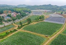 最新湖南服务器维修联系电话 (湖南省服务平台)-虎跃云资讯网
