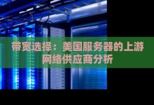 北美服务器带宽多少够用？专家建议与实际应用案例分享 (北美服务器带中文吗)-虎跃云资讯网
