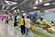 市场行情波动下的合理增长 (市场行情波动大怎么表达)-虎跃云资讯网