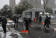 关于杭林服务器规模的综合报告 (杭州杭林园艺)-虎跃云资讯网
