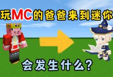 小哥了解MCAIC服务器号详情 (小哥了解mri基础 pdf)-虎跃云资讯网