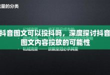 深度探讨抖音服务器规模与数量 (深度探讨抖音怎么做)-虎跃云资讯网
